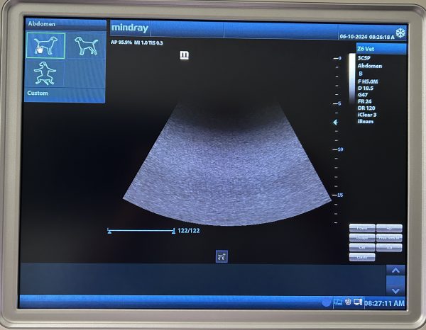 MINDRAY Z6 VET - Imagen 5